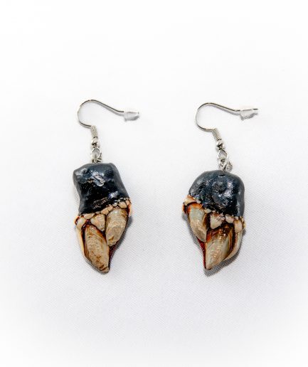 Pendientes Percebes